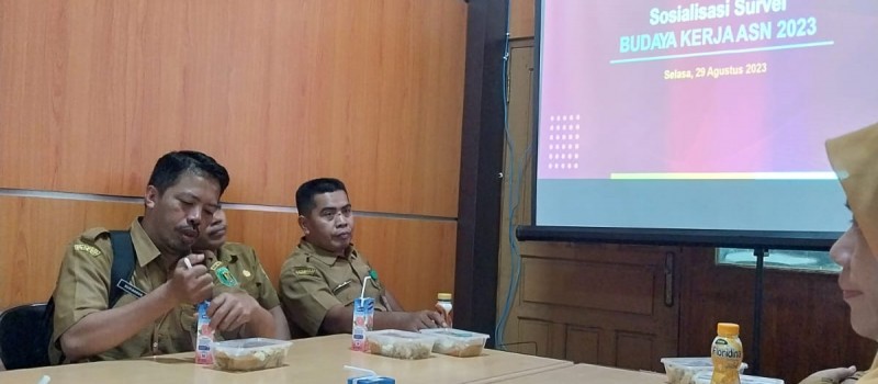 Sosialisasi Survei BUDAYA KERJAASN 2023