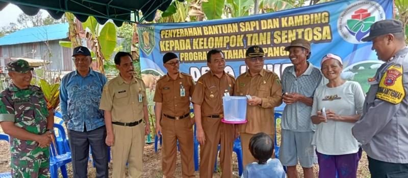 Menghadiri Kegiatan Penyerahan Bantuan Sapi Dan Kambing Pada Kelompo Tani Desa Uwie. Selasa,28 Maret 2023