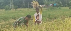 GIAT HANPANGAN