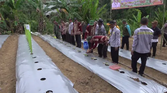 Cabai Rawit Tiung Tanjung Jadi Komoditas Strategis Tekan Inflasi & Perkuat Ketahanan Pangan