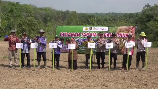 Tabalong Gencarkan Gerakan Tanam Kacang Tanah & Jagung untuk Swasembada Pangan
