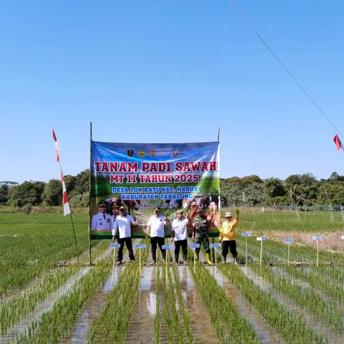 Pemdes Lokbatu Uji Coba Tanam Padi Musim Kedua untuk Dukung Ketahanan Pangan Tabalong