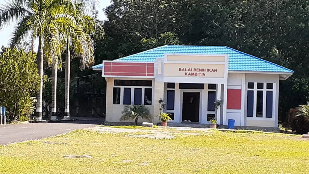 Balai Benih Ikan Kambitin